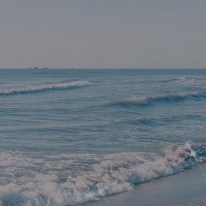 Meet your Posher, Arianna